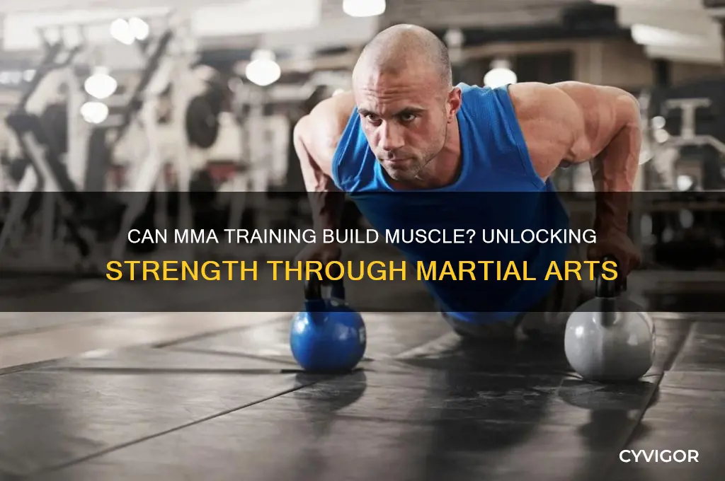 can i gain muscle training mma