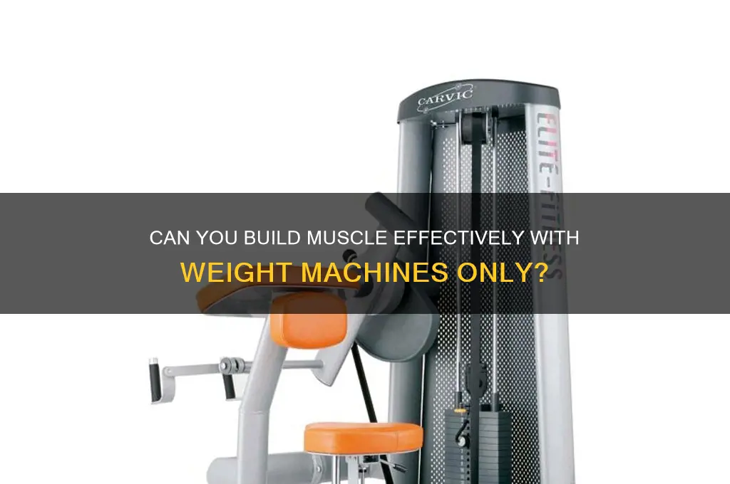 can i gain muscle using machines