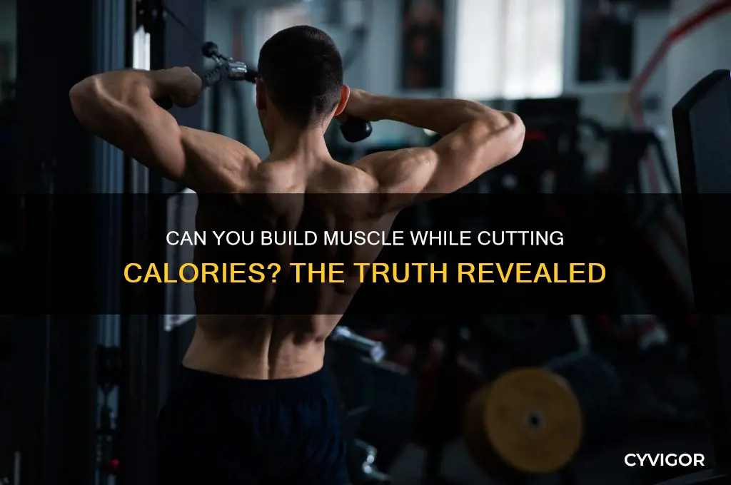can i gain muscle while on a calorie deficient