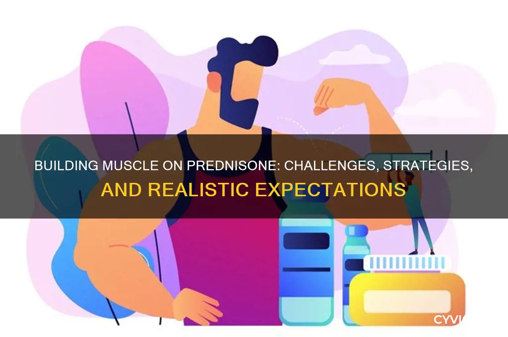 can i gain muscle while taking prednisone