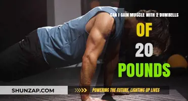 Building Muscle with Limited Gear: 20-Pound Dumbbells Workout Guide