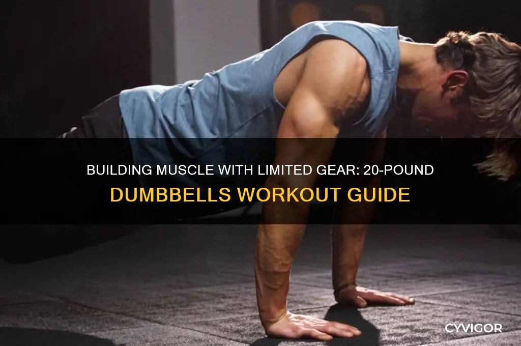 can i gain muscle with 2 dumbells of 20 pounds