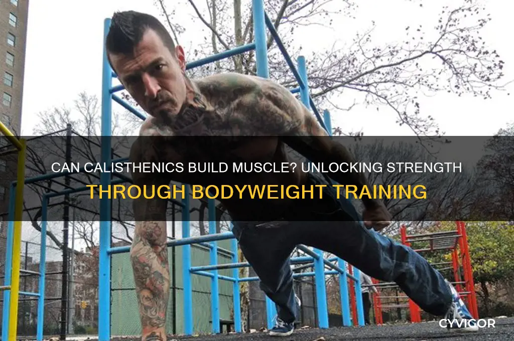 can i gain muscle with calisthenics