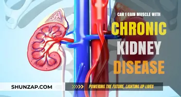 Building Muscle with Chronic Kidney Disease: Safe Strategies for Strength