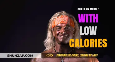 Building Muscle on a Low-Calorie Diet: Is It Possible?