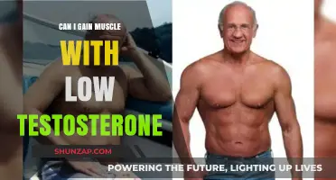 Building Muscle with Low Testosterone: Strategies for Strength and Growth