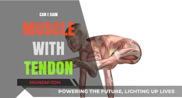 Building Muscle with Tendon Health: What You Need to Know