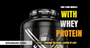 Whey Protein for Muscle Gain: Fact or Fiction?