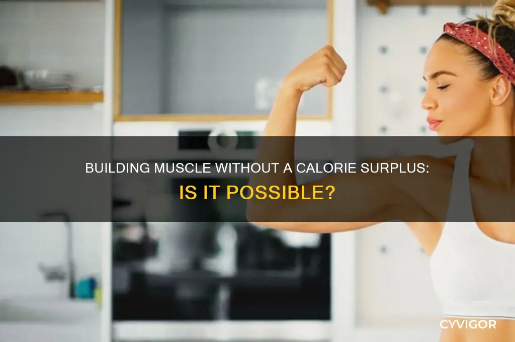 can i gain muscle without calorie surplus