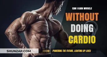 Building Muscle Without Cardio: Effective Strategies for Strength Training