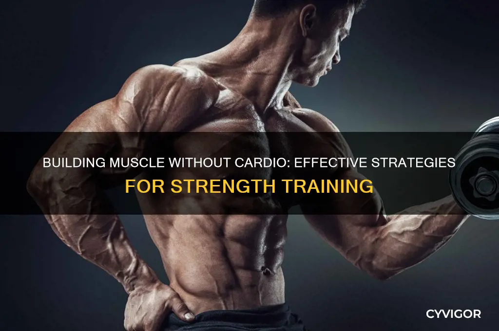 can i gain muscle without doing cardio
