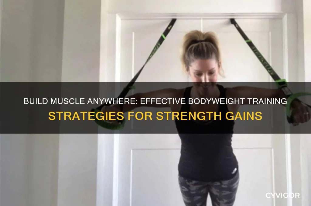 can i gain muscle without equipment