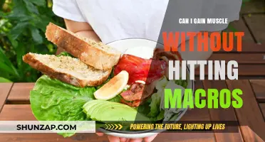Building Muscle Without Macro Tracking: Is It Really Possible?
