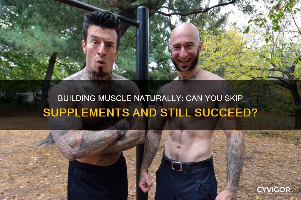 can i gain muscle without supplements