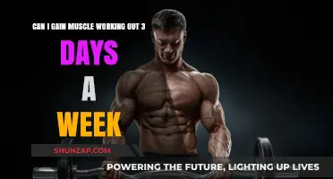 Can You Build Muscle with Just 3 Workout Days Weekly?