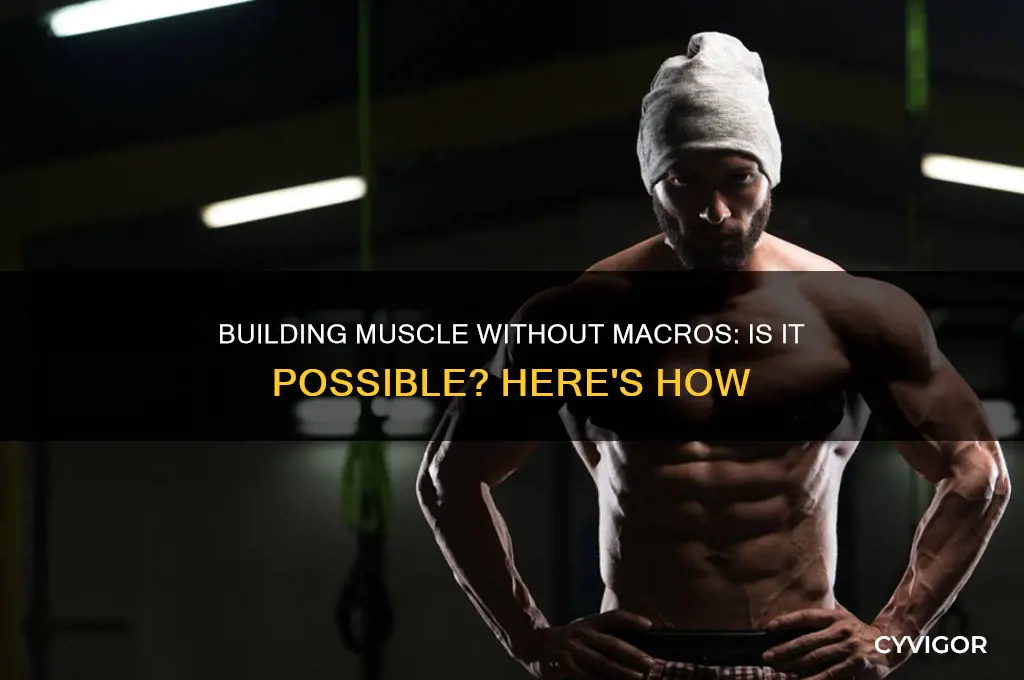 can i gain muscle wothout hitting macris