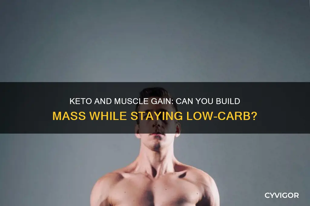 can i go on keto and still gain muscle