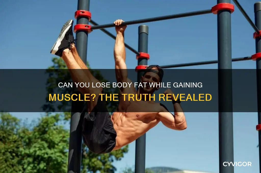 can i lose body fat while gaining muscle