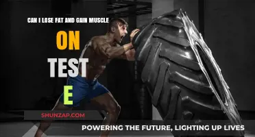 Test E for Fat Loss and Muscle Gain: Is It Possible?