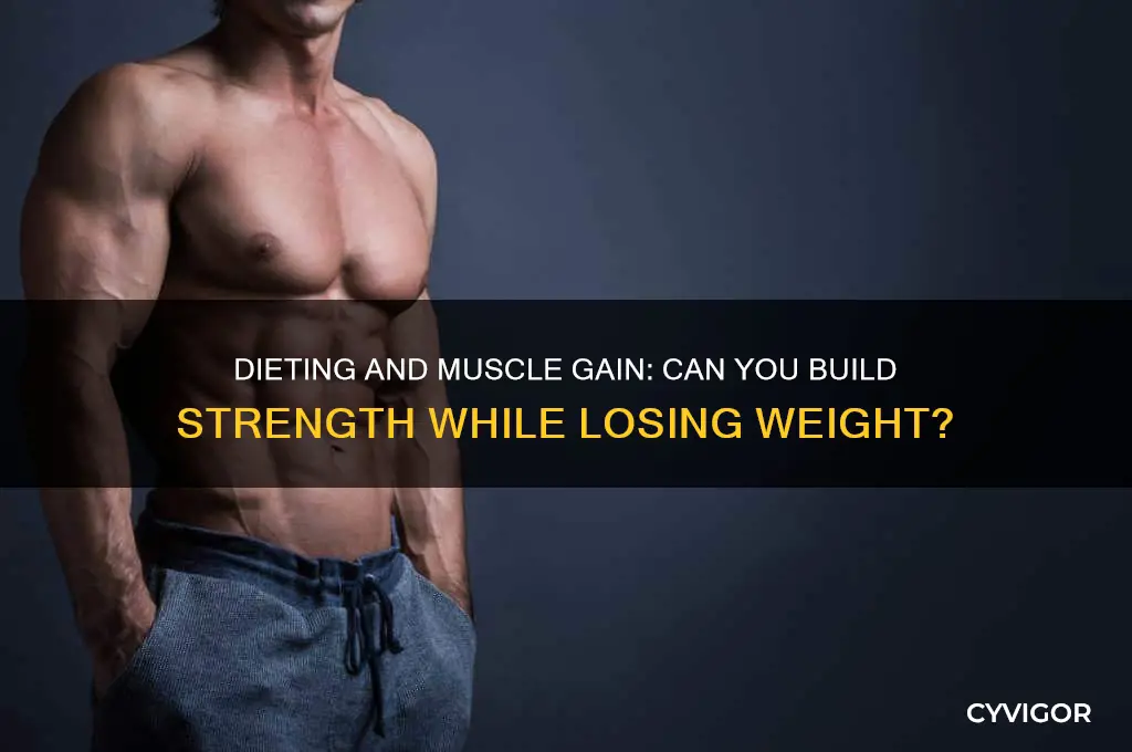 can i still gain muscle if i am dieting