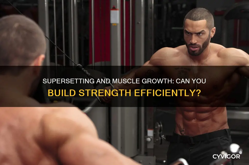 can i still gain muscle while supersetting