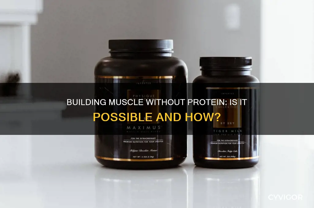 can i still gain muscle without protein