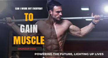 Daily Workouts for Muscle Gain: Effective or Overkill?