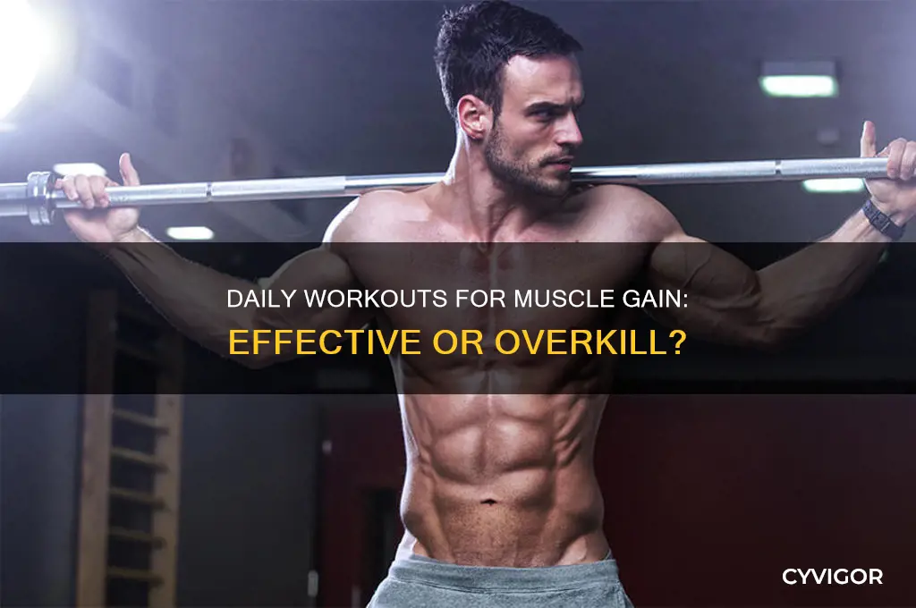 can i work out everyday to gain muscle