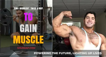 Double Daily Workouts: Effective Strategy for Muscle Gain or Overkill?