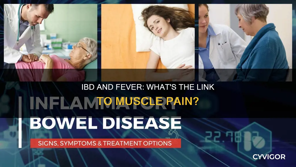 can ibd cause fever and muscle pain