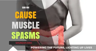 IBS and Muscle Spasms: What's the Link?