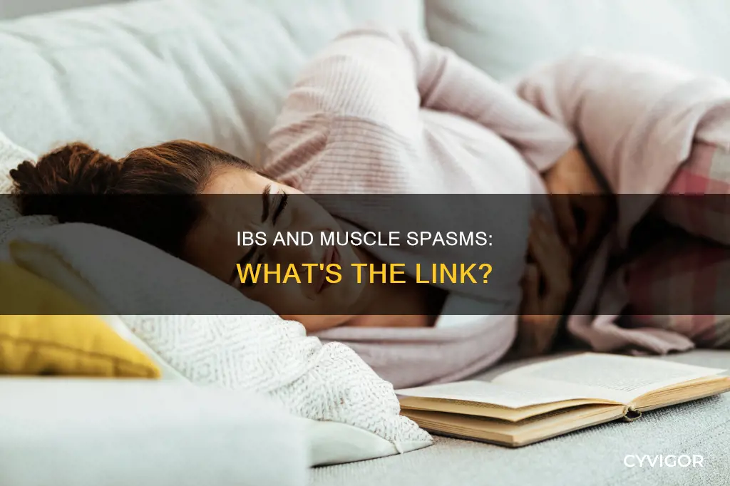 can ibs cause muscle spasms