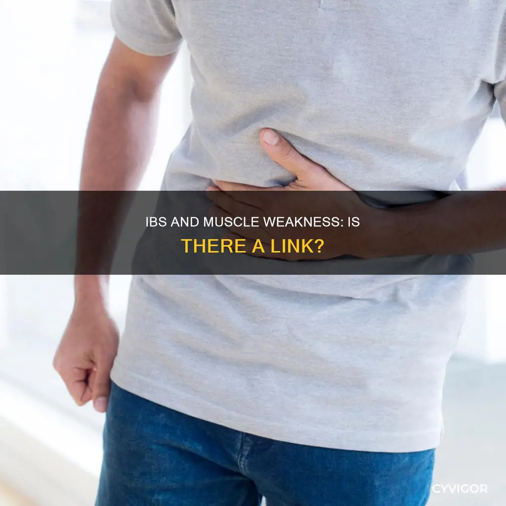can ibs cause muscle weakness
