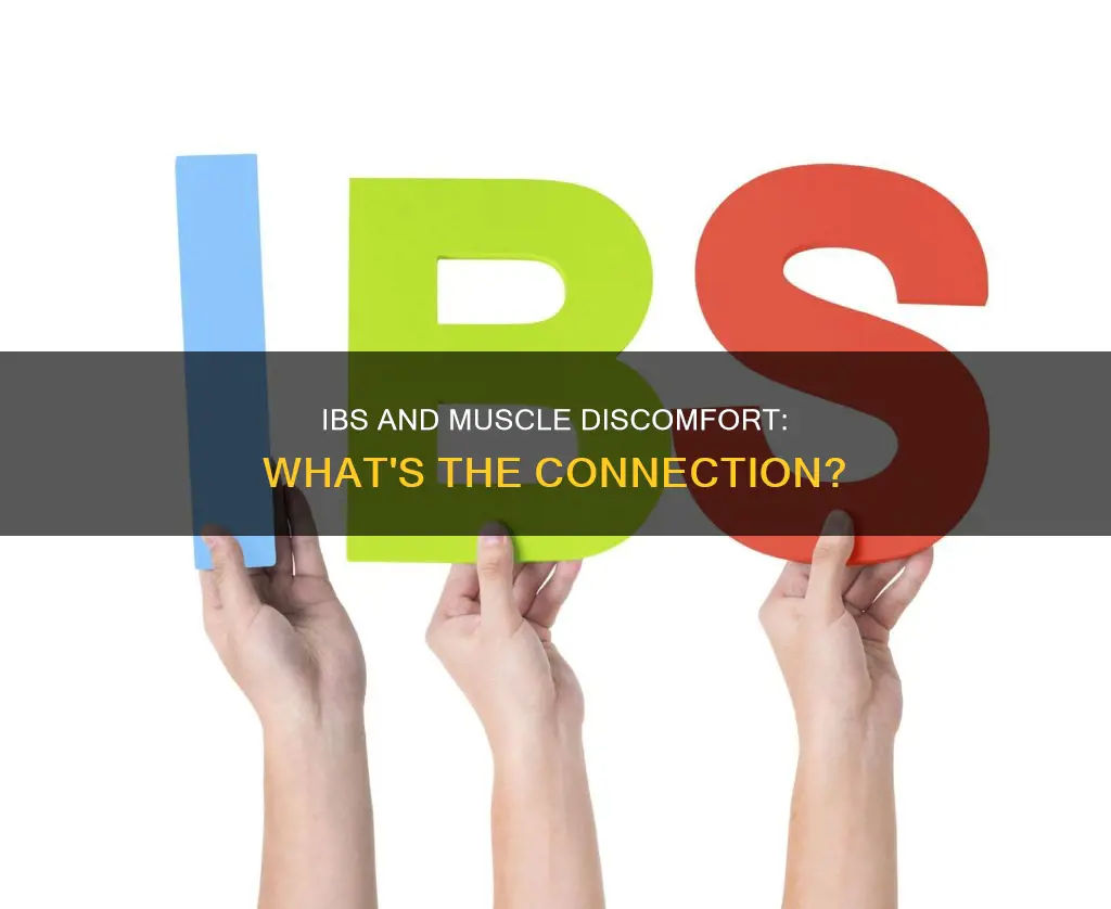 can ibs cause side muscle like discomfort