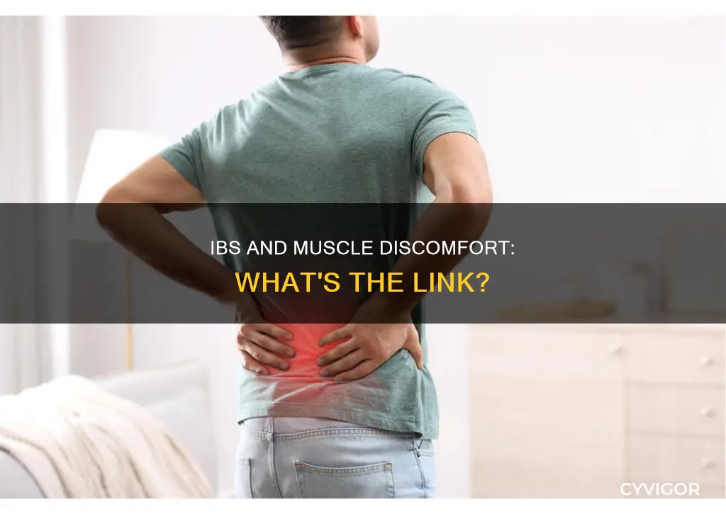 can ibs cause side muscle luje disconfort