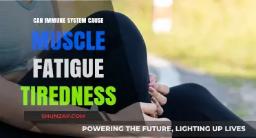 Immune System's Role in Muscle Fatigue and Tiredness