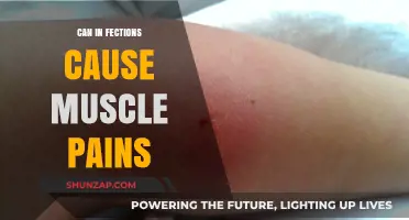 How Infections Spark Muscle Pain