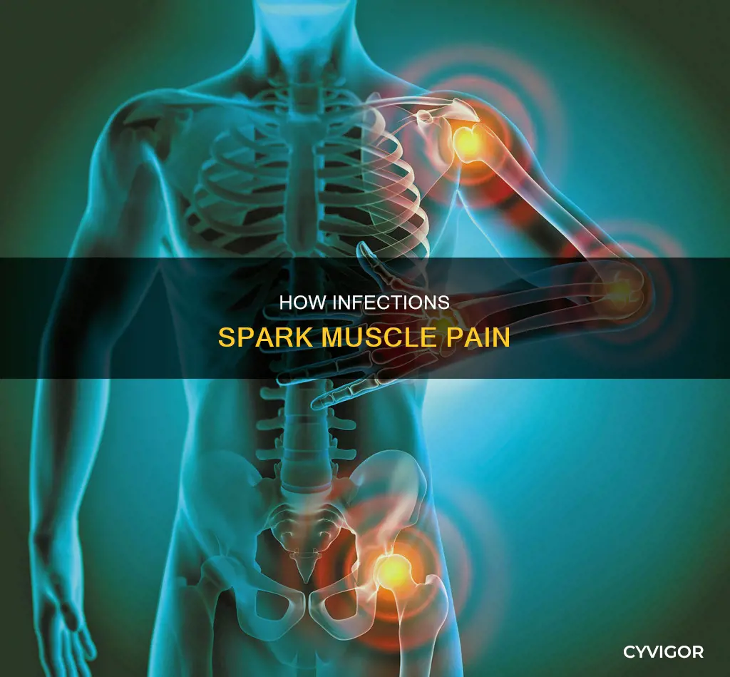 can in fections cause muscle pains