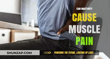 Muscle Pain and Inactivity: What's the Connection?