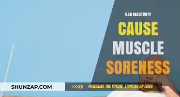 Muscle Soreness: Is Inactivity the Main Cause?