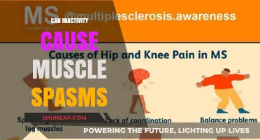 Muscle Spasms: Are They Caused by Inactivity?