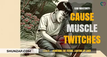 Muscle Twitching: Is Inactivity to Blame?