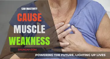 Muscle Weakness: The Impact of Inactivity