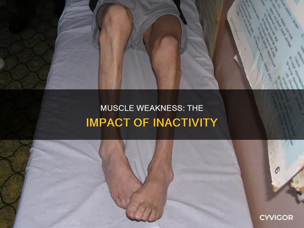 can inactivity cause muscle weakness