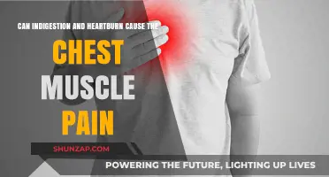 Heartburn and Indigestion: Cause of Chest Pain?