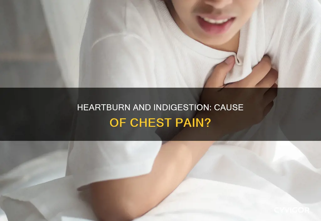 can indigestion and heartburn cause the chest muscle pain