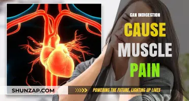 Indigestion and Muscle Pain: Is There a Link?
