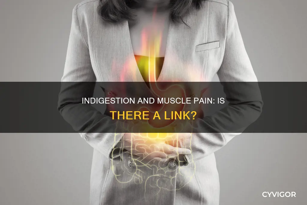 can indigestion cause muscle pain
