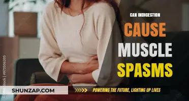 Indigestion and Muscle Spasms: What's the Connection?