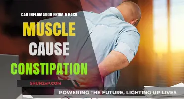 Back Muscle Inflammation: Constipation Culprit or Coincidence?